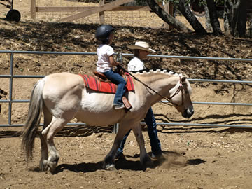 Girl Learning to ride a horse